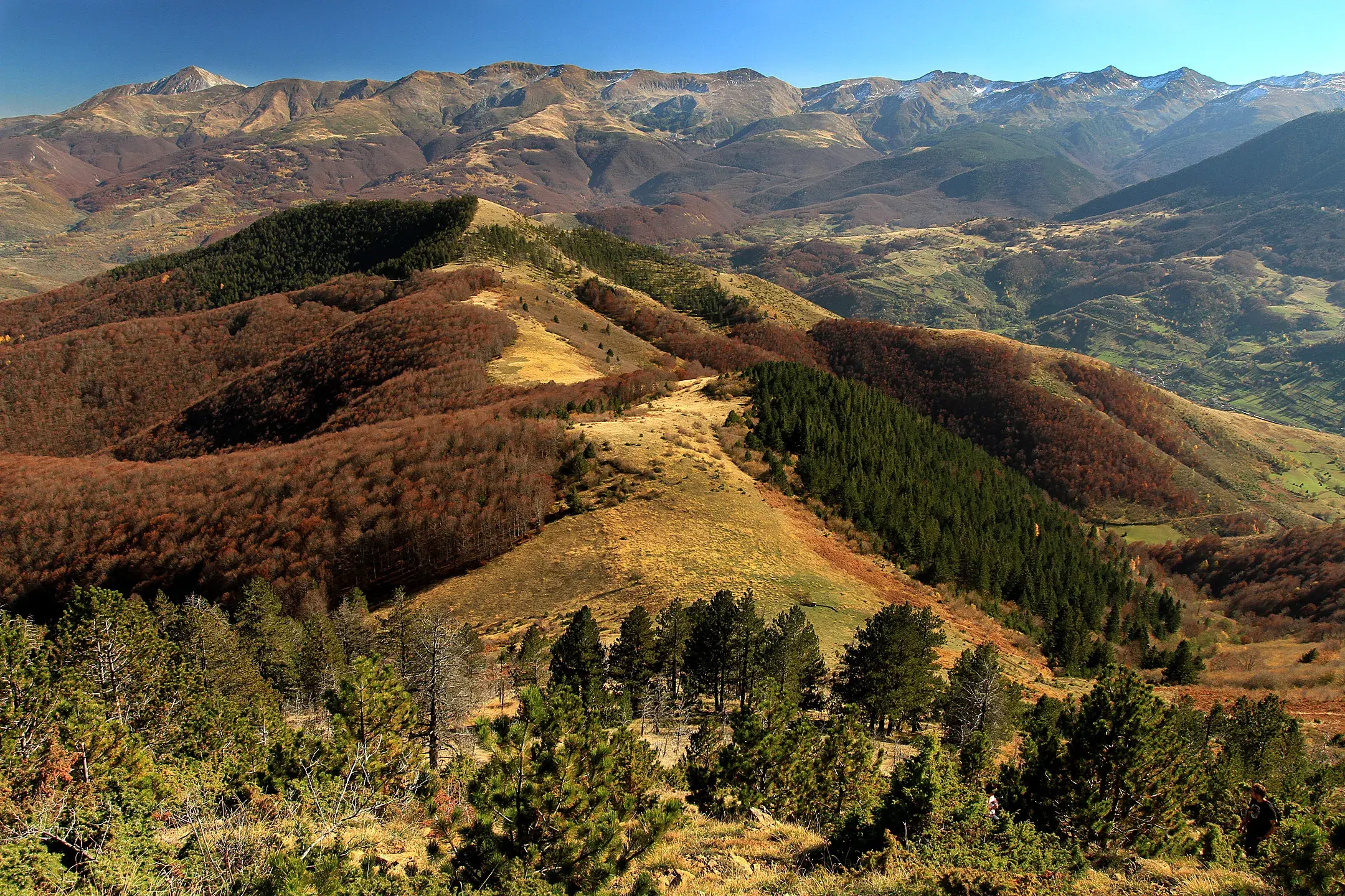 Sharr Mountains